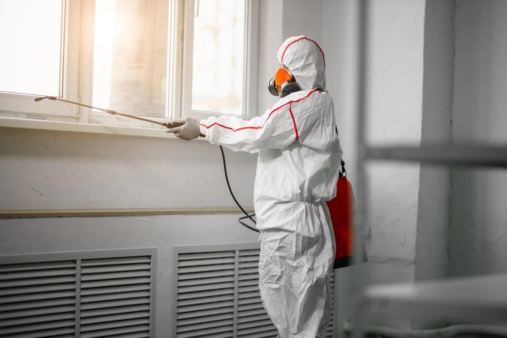 Professional mold remediation services in Sand Lake, MI